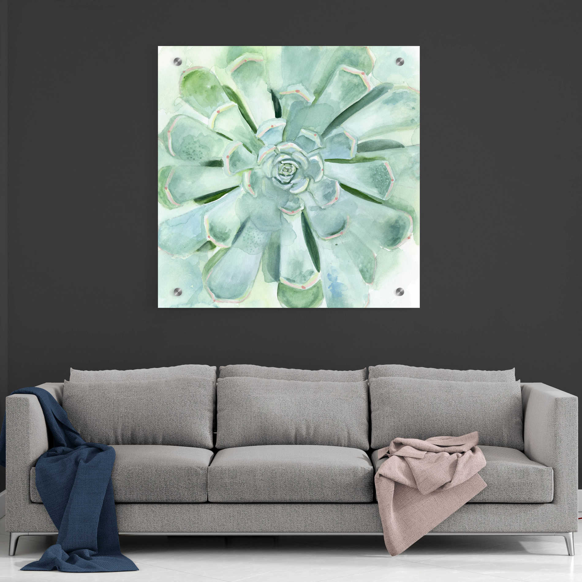 Epic Art 'Verdant Succulent IV' by Victoria Borges, Acrylic Glass Wall Art,36x36