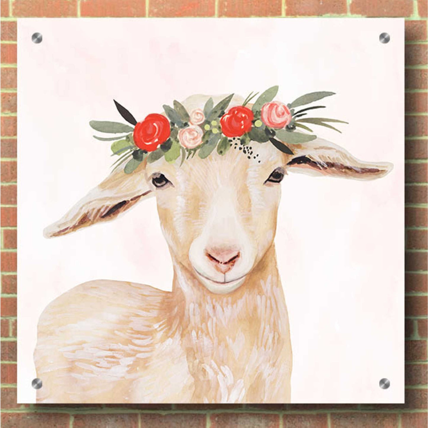 Epic Art 'Garden Goat I' by Victoria Borges, Acrylic Glass Wall Art,36x36