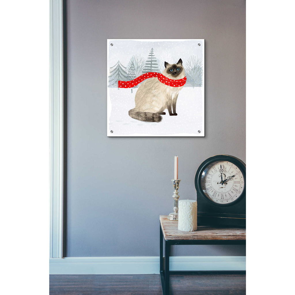 Epic Art 'Christmas Cats & Dogs III' by Victoria Borges, Acrylic Glass Wall Art,24x24