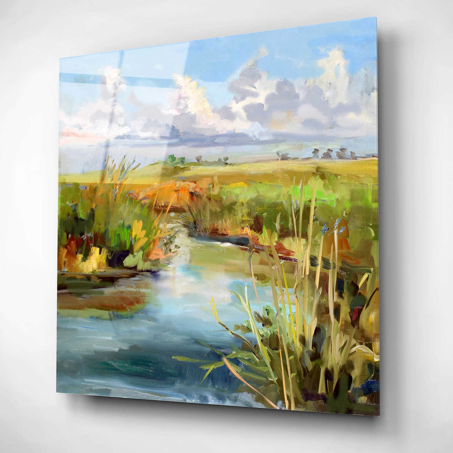 Epic Art 'Afternoon Skies' by Carol Hallock, Acrylic Glass Wall Art,12x12