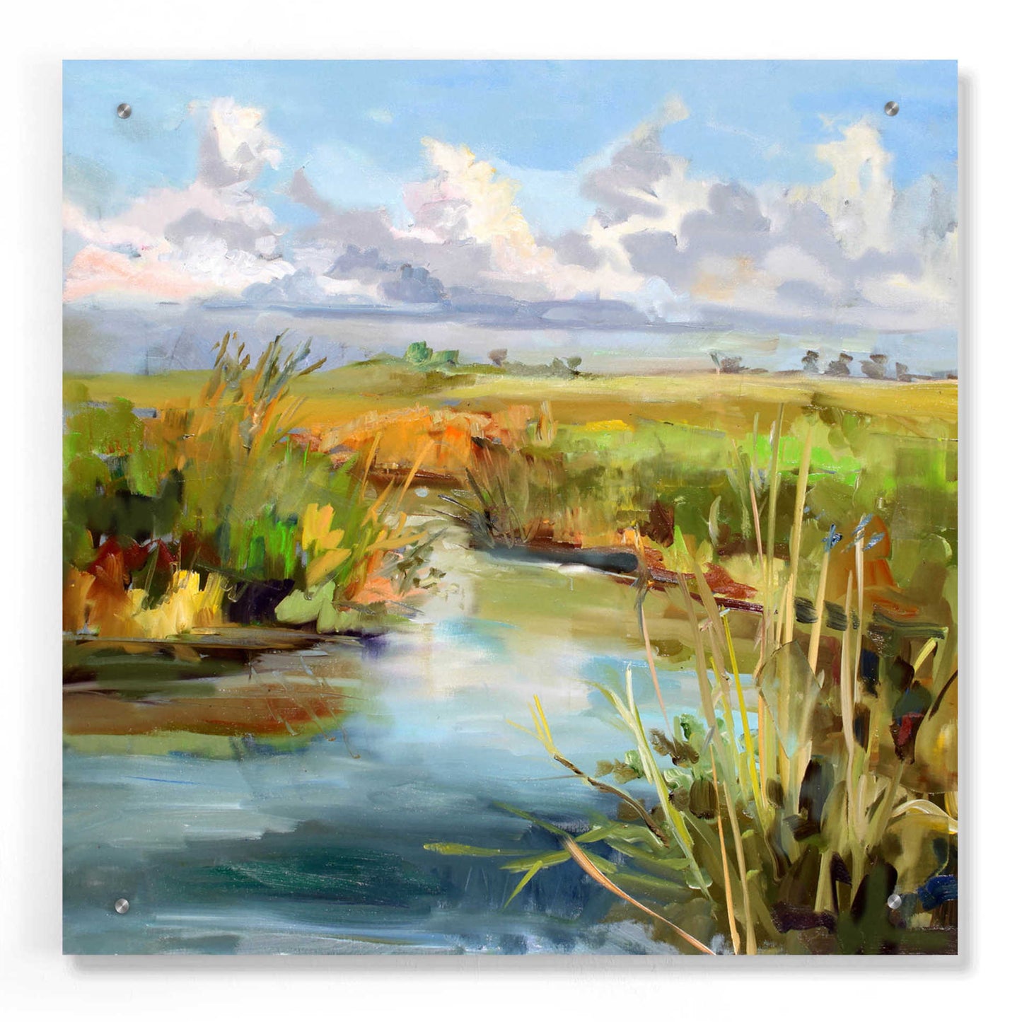 Epic Art 'Afternoon Skies' by Carol Hallock, Acrylic Glass Wall Art,24x24