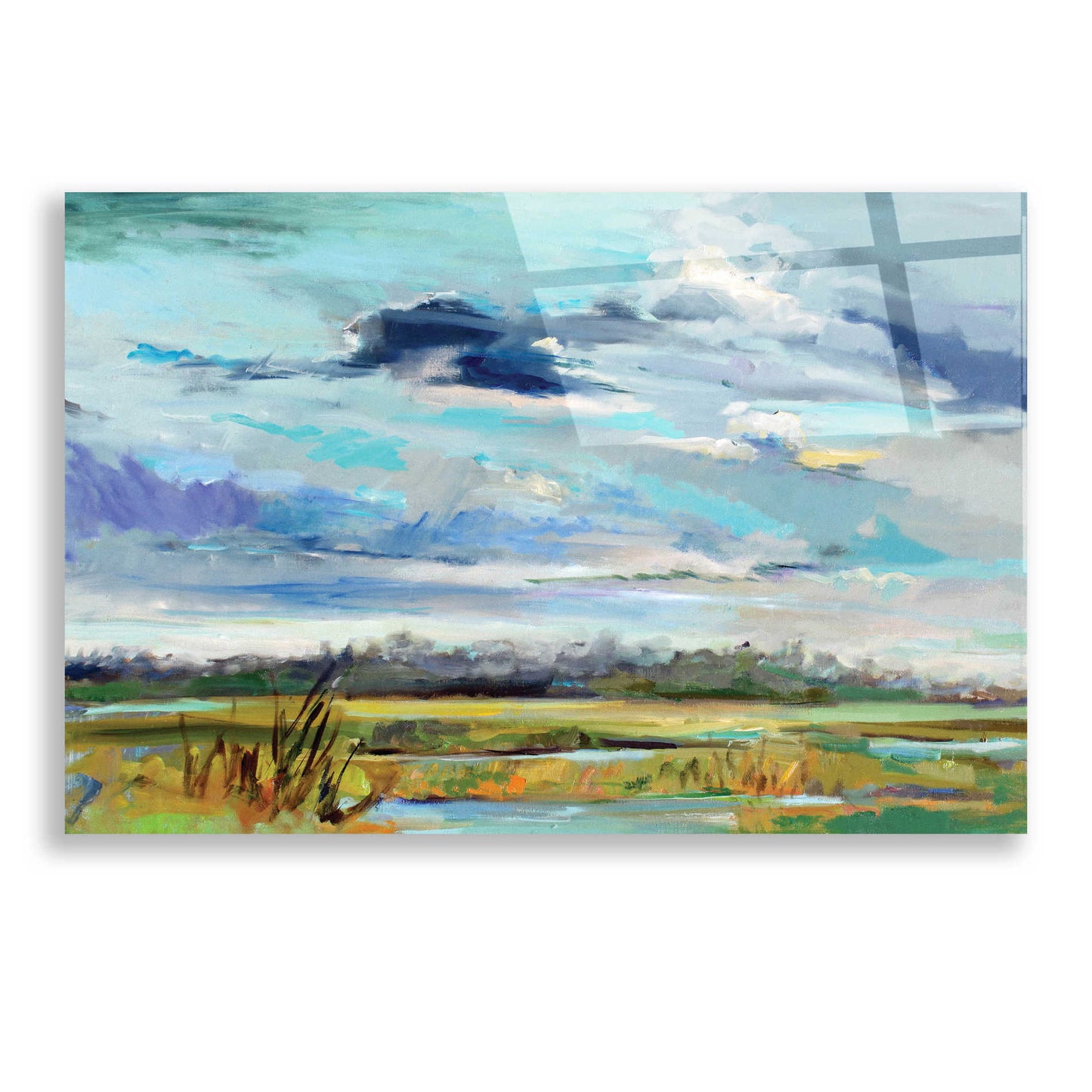 Epic Art 'Marsh Skies' by Carol Hallock, Acrylic Glass Wall Art,24x16