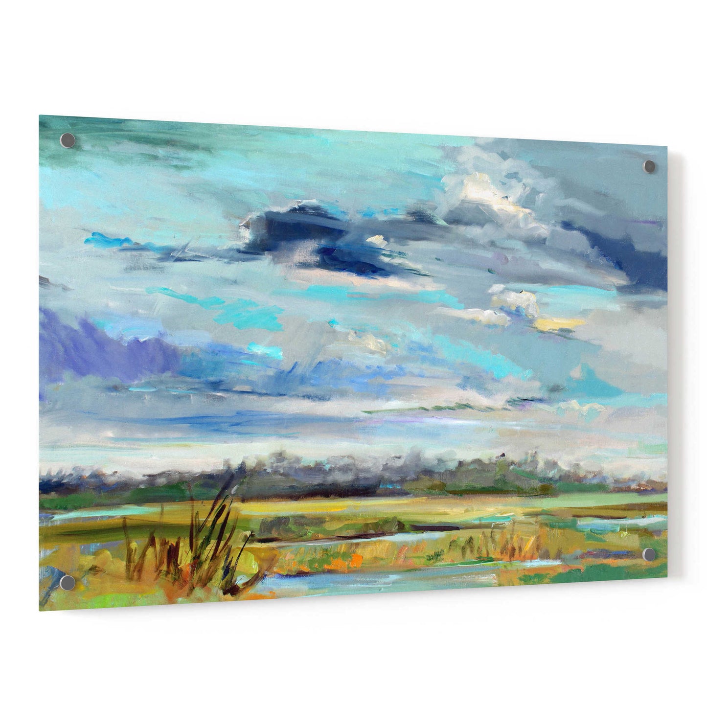 Epic Art 'Marsh Skies' by Carol Hallock, Acrylic Glass Wall Art,36x24