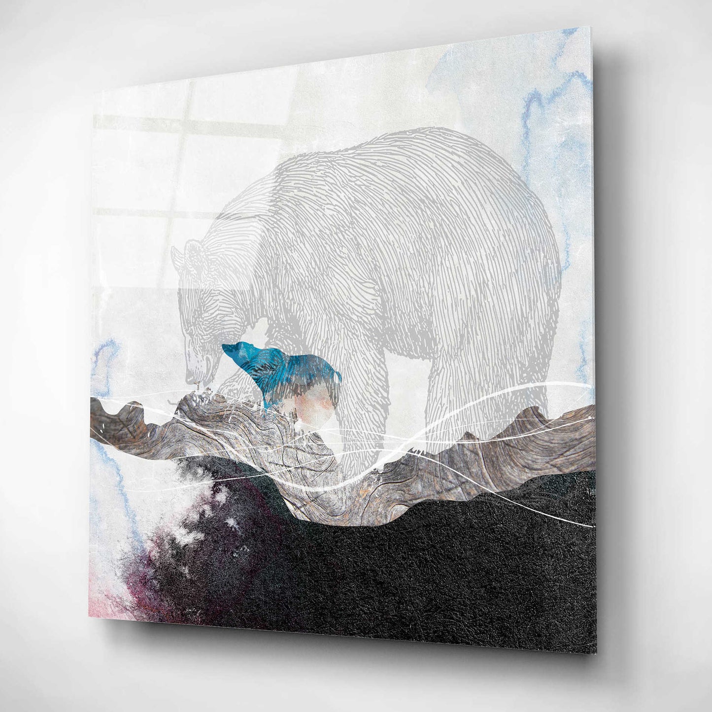 Epic Art 'Bear 2' by Louis Duncan-He, Acrylic Glass Wall Art,12x12