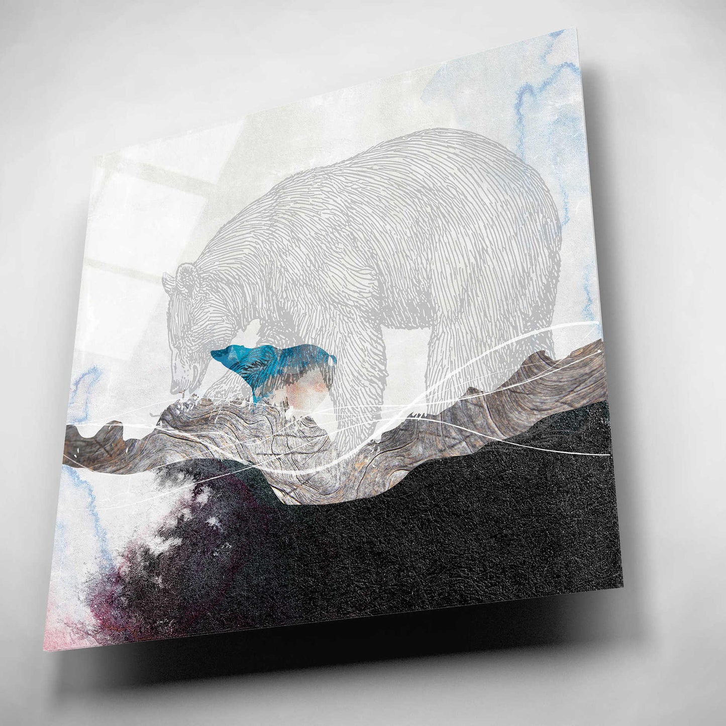 Epic Art 'Bear 2' by Louis Duncan-He, Acrylic Glass Wall Art,12x12