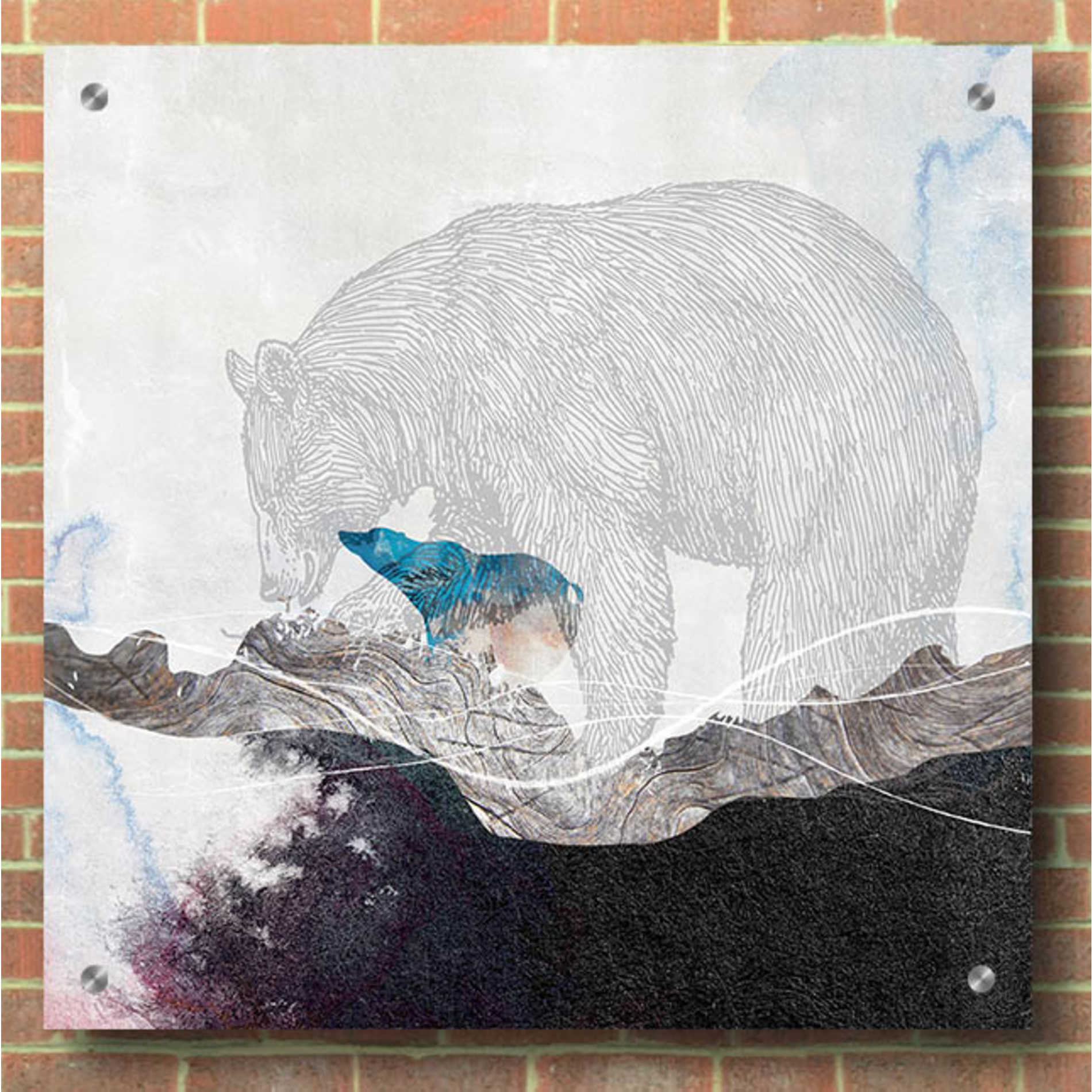 Epic Art 'Bear 2' by Louis Duncan-He, Acrylic Glass Wall Art,36x36