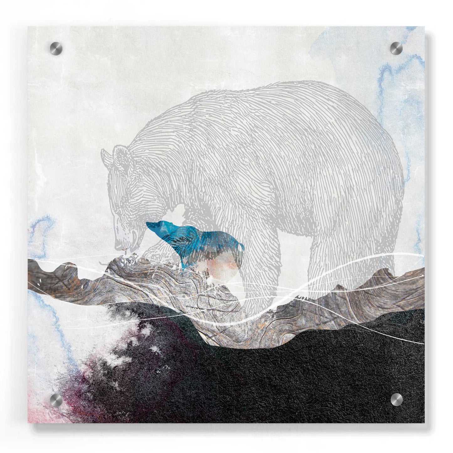 Epic Art 'Bear 2' by Louis Duncan-He, Acrylic Glass Wall Art,36x36