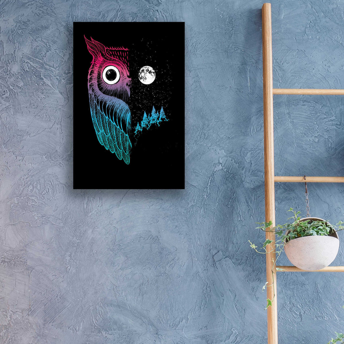Epic Art 'Night Owl' by Michael Buxton, Acrylic Glass Wall Art,16x24