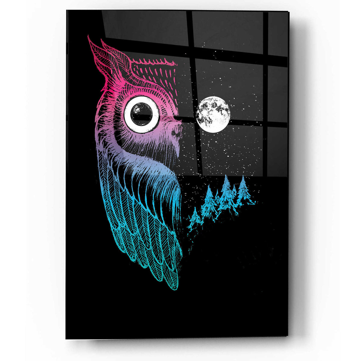 Epic Art 'Night Owl' by Michael Buxton, Acrylic Glass Wall Art