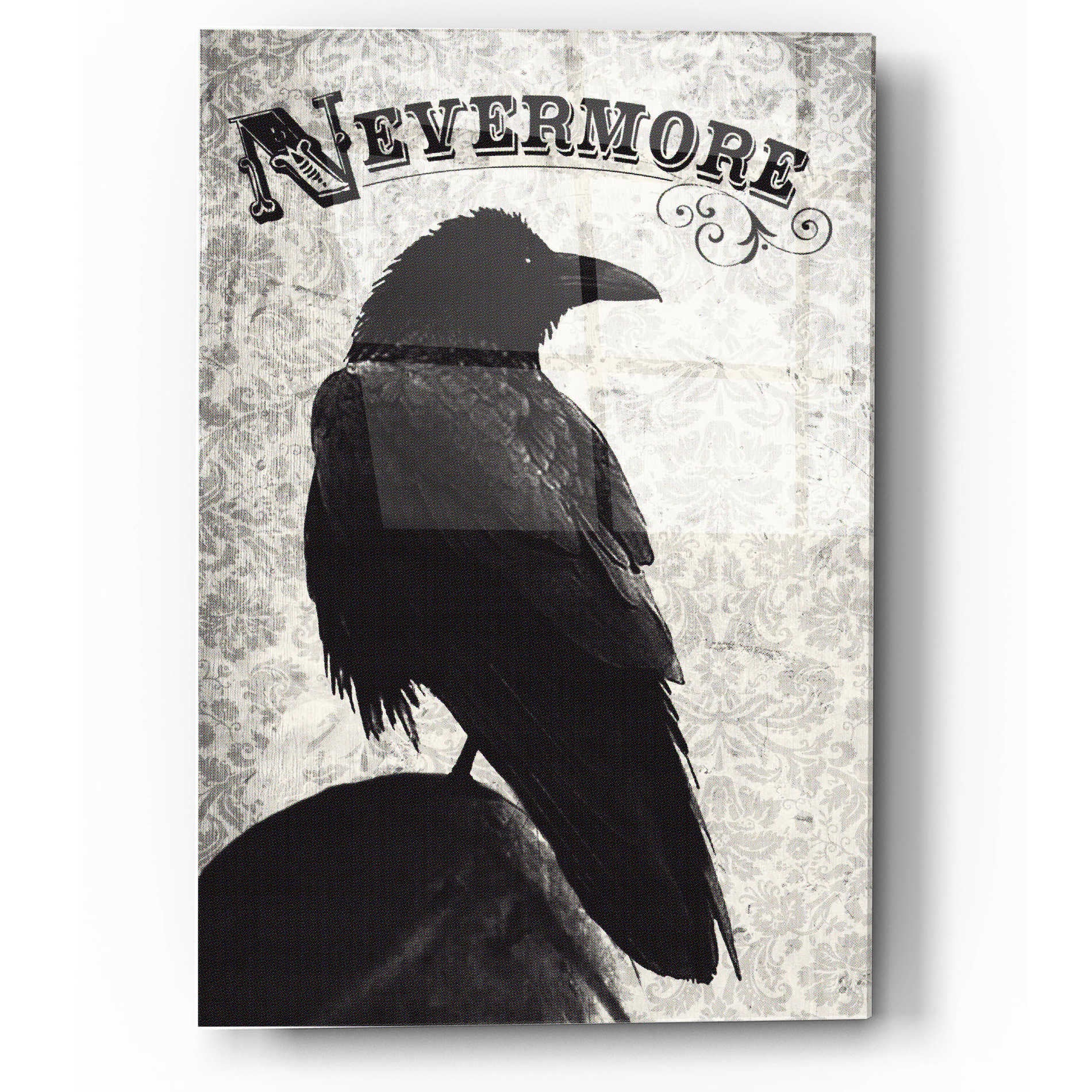 Epic Art 'Nevermore' by Michael Buxton, Acrylic Glass Wall Art,12x16