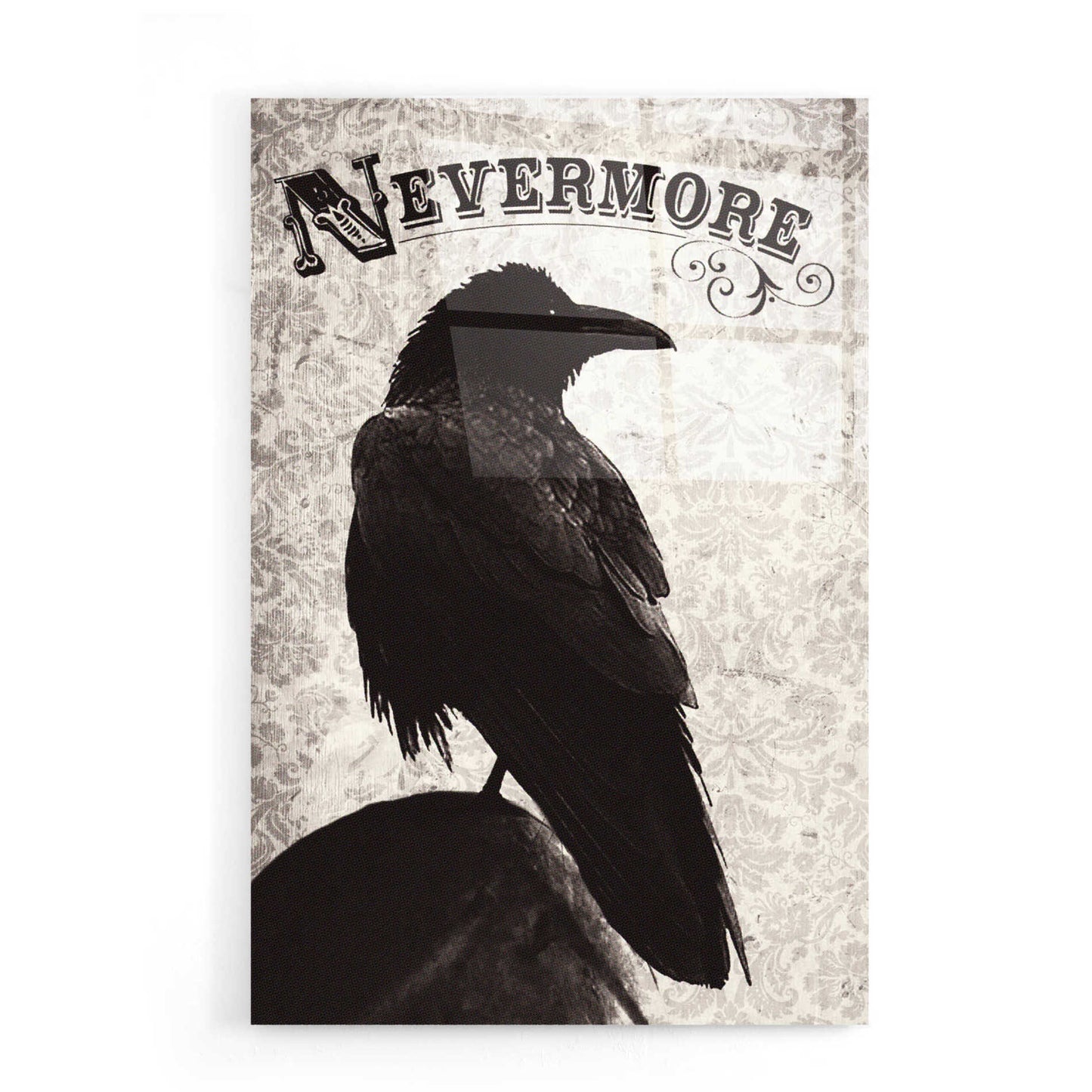 Epic Art 'Nevermore' by Michael Buxton, Acrylic Glass Wall Art,16x24