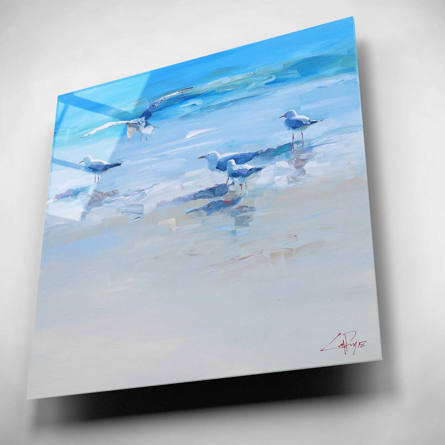 Epic Art 'Landing' by Craig Trewin Penny, Acrylic Glass Wall Art,12x12