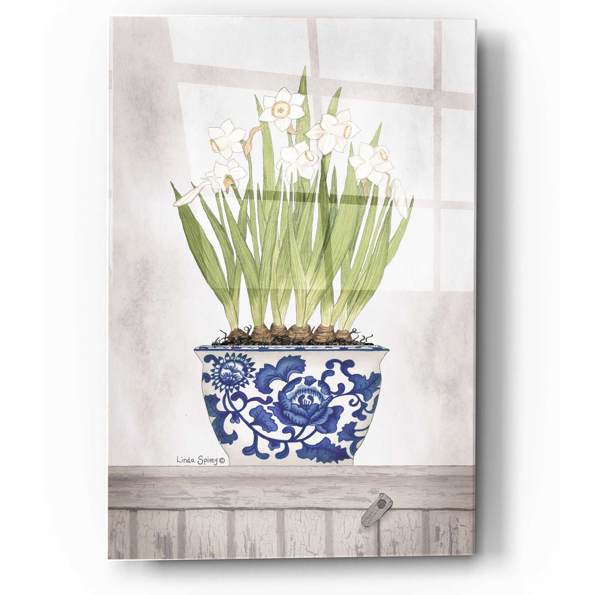 Epic Art 'Blue and White Daffodils II' by Linda Spivey, Acrylic Glass Wall Art,12x16