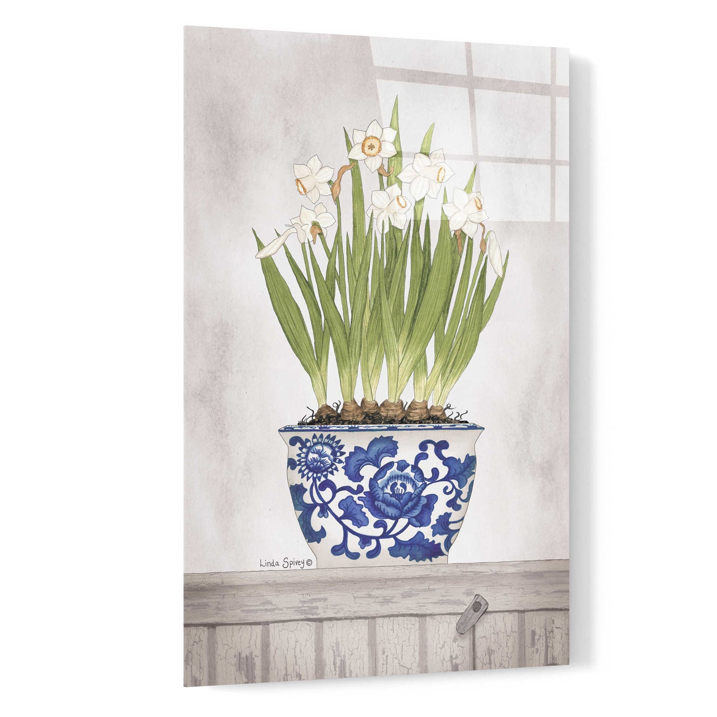 Epic Art 'Blue and White Daffodils II' by Linda Spivey, Acrylic Glass Wall Art,16x24