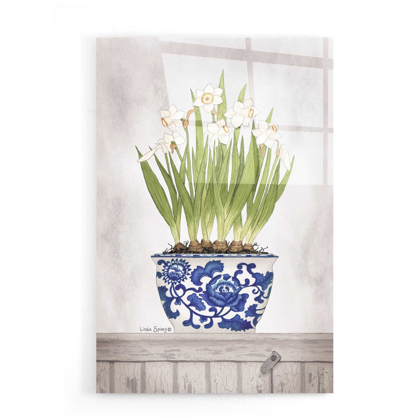 Epic Art 'Blue and White Daffodils II' by Linda Spivey, Acrylic Glass Wall Art,16x24