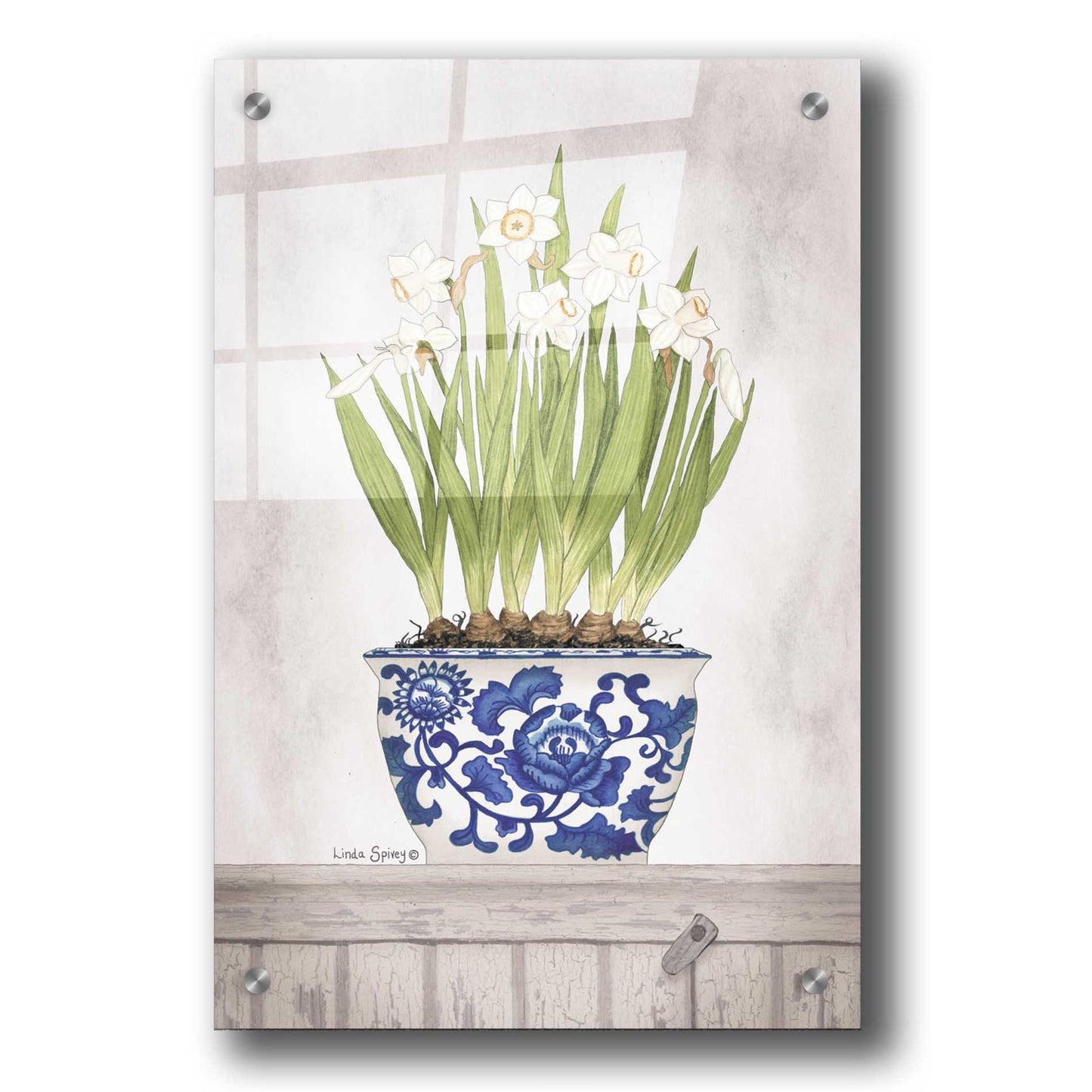 Epic Art 'Blue and White Daffodils II' by Linda Spivey, Acrylic Glass Wall Art,24x36