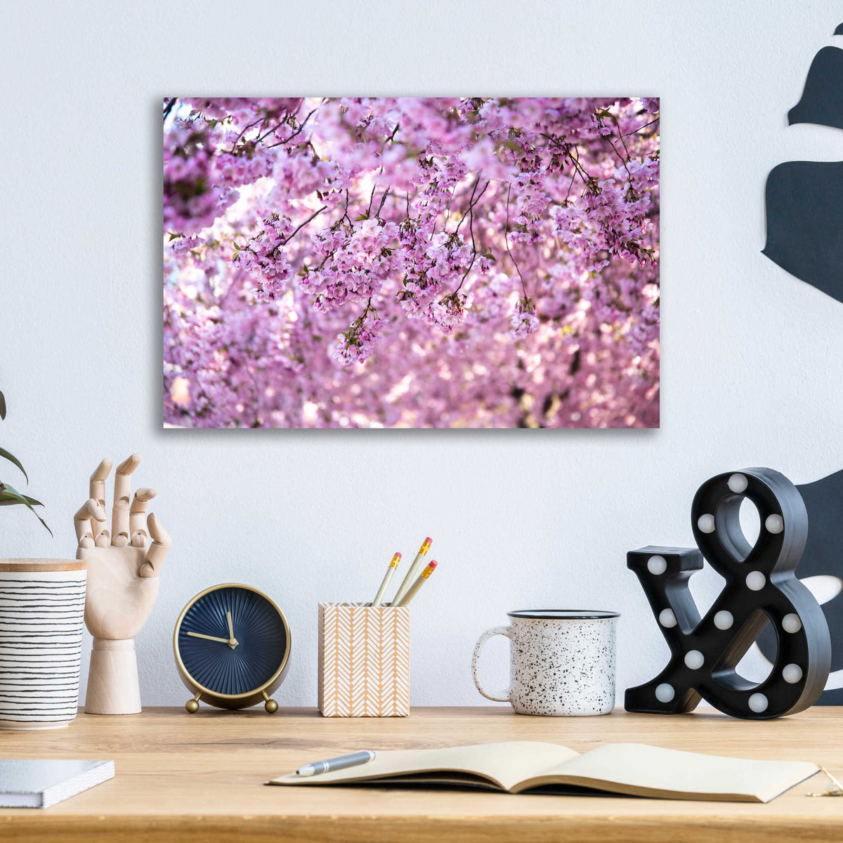 Epic Art 'Cherry Blossom Flowers' by Nicklas Gustafsson Acrylic Glass Wall Art,16x12