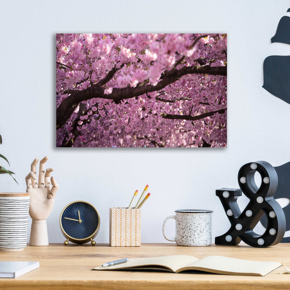 Epic Art 'Cherry Blossom Tree Panorama' by Nicklas Gustafsson Acrylic Glass Wall Art,16x12