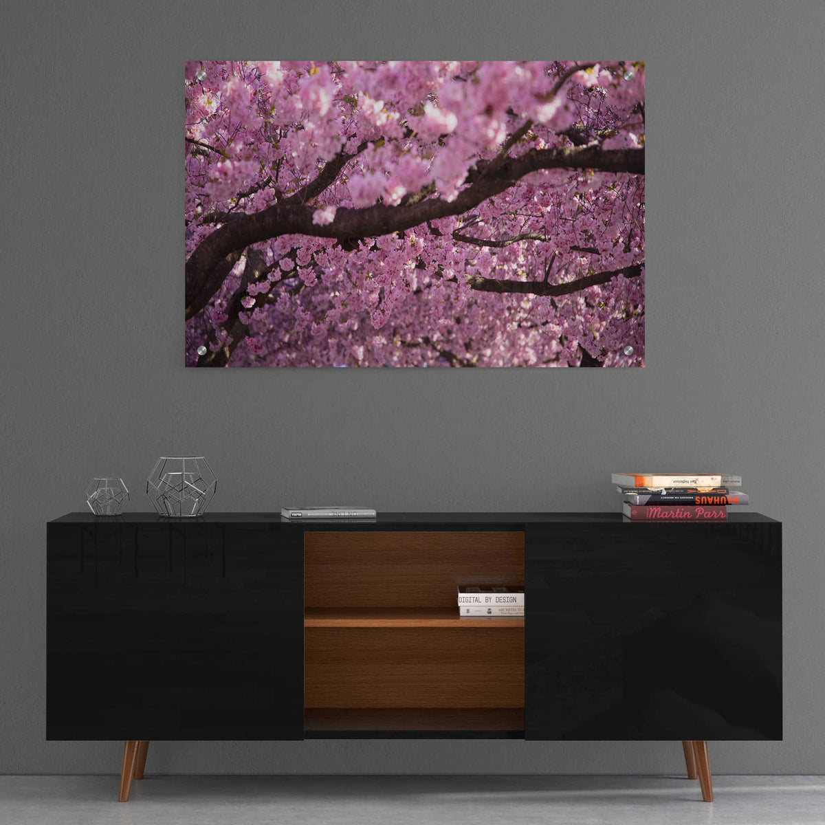 Epic Art 'Cherry Blossom Tree Panorama' by Nicklas Gustafsson Acrylic Glass Wall Art,36x24