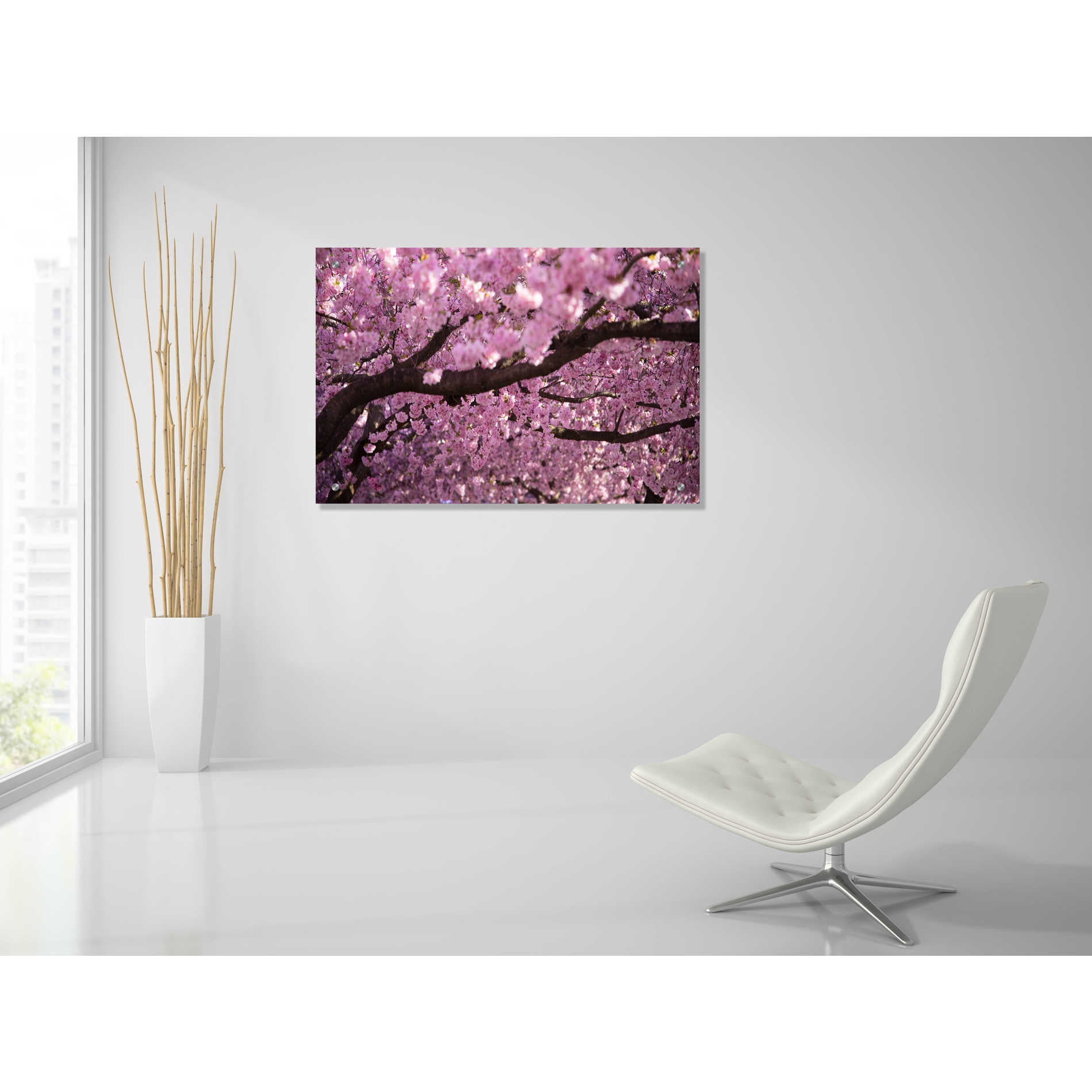 Epic Art 'Cherry Blossom Tree Panorama' by Nicklas Gustafsson Acrylic Glass Wall Art,36x24