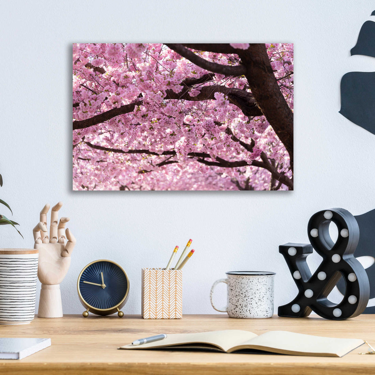 Epic Art 'Cherry Blossom Trees' by Nicklas Gustafsson Acrylic Glass Wall Art,16x12