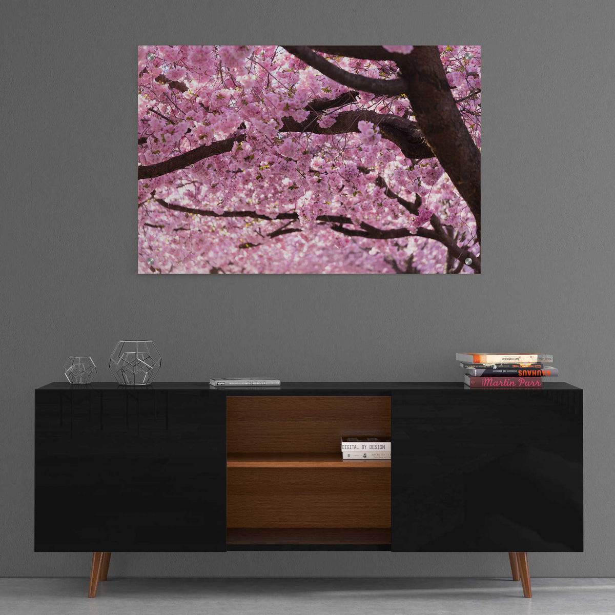 Epic Art 'Cherry Blossom Trees' by Nicklas Gustafsson Acrylic Glass Wall Art,36x24