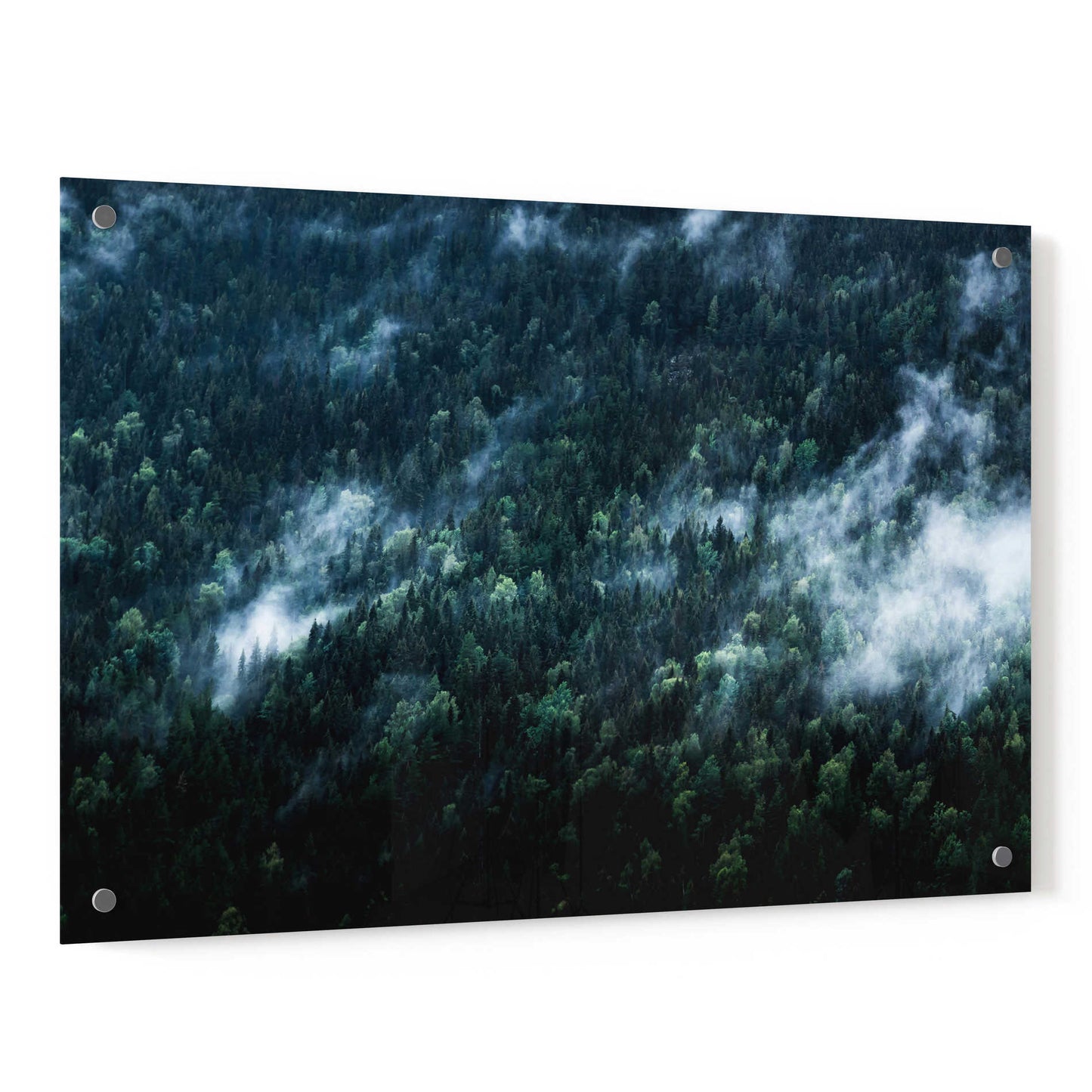 Epic Art 'Foggy Forest Mountain' by Nicklas Gustafsson Acrylic Glass Wall Art,36x24