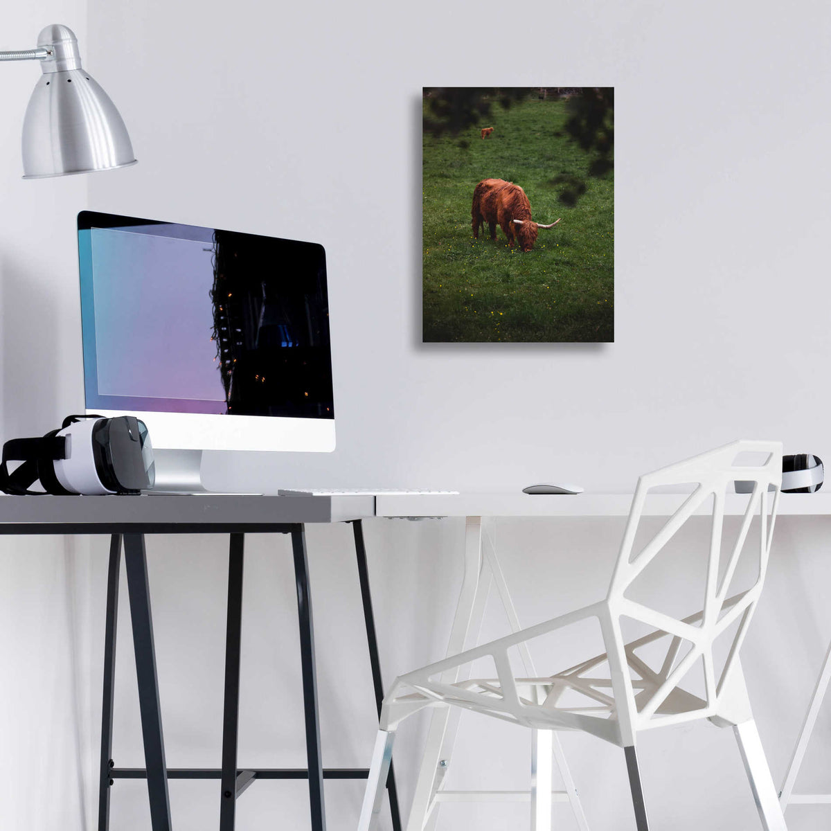 Epic Art 'Grazing Highlander' by Nicklas Gustafsson Acrylic Glass Wall Art,12x16
