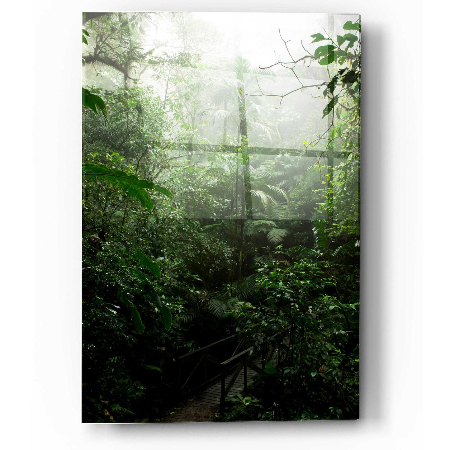 Epic Art 'Into The Cloud Forest' by Nicklas Gustafsson Acrylic Glass Wall Art,12x16