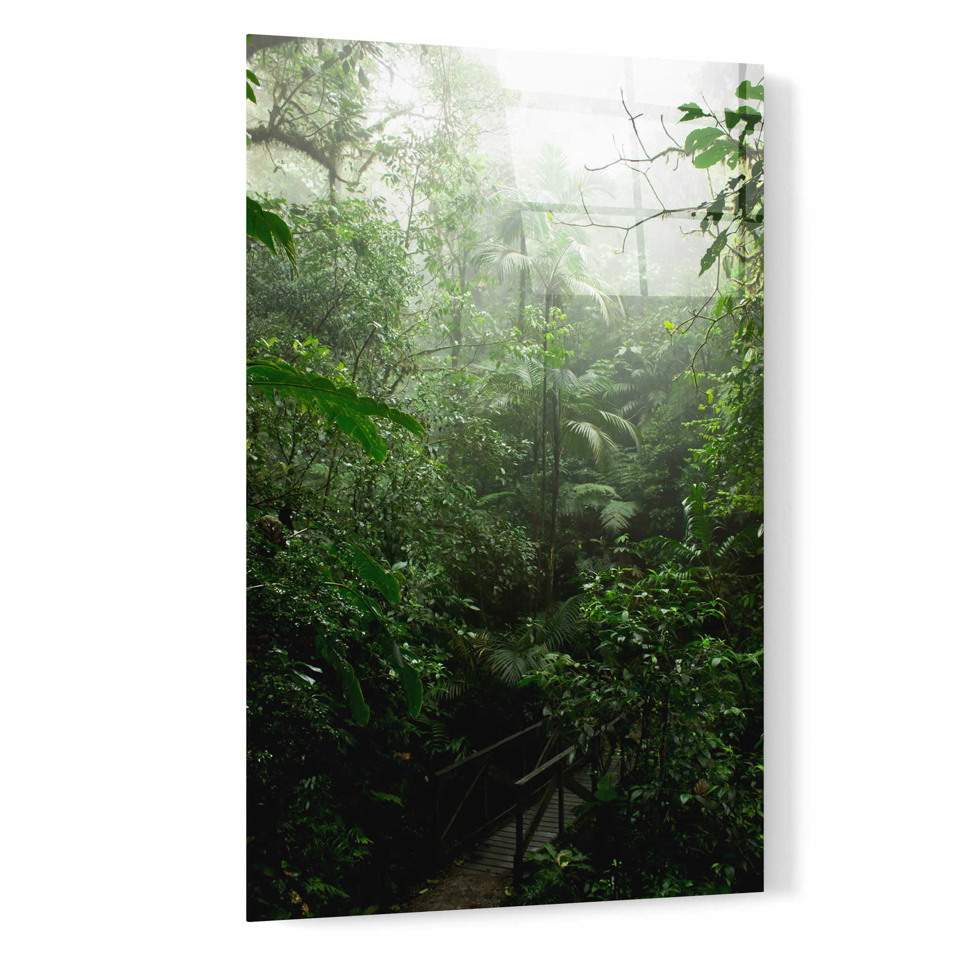 Epic Art 'Into The Cloud Forest' by Nicklas Gustafsson Acrylic Glass Wall Art,16x24