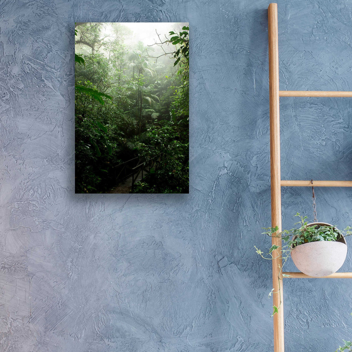 Epic Art 'Into The Cloud Forest' by Nicklas Gustafsson Acrylic Glass Wall Art,16x24