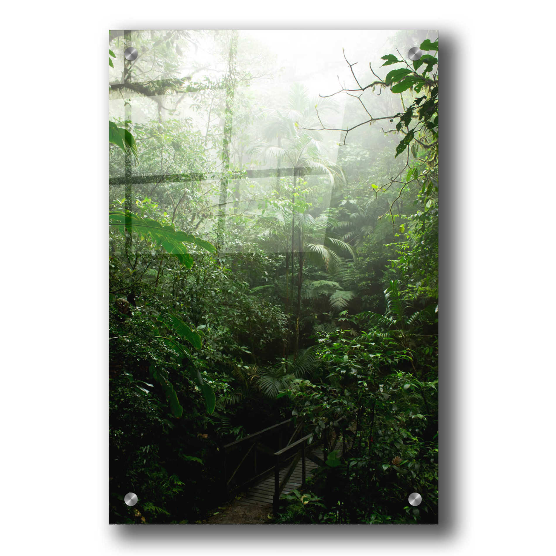 Epic Art 'Into The Cloud Forest' by Nicklas Gustafsson Acrylic Glass Wall Art,24x36