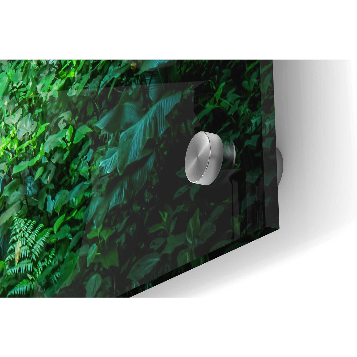 Epic Art 'Jungle Waterfall' by Nicklas Gustafsson Acrylic Glass Wall Art,36x24