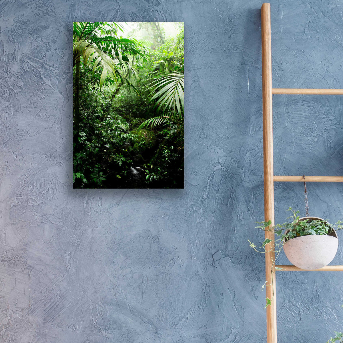 Epic Art 'Misty Rainforest Creek' by Nicklas Gustafsson Acrylic Glass Wall Art,16x24