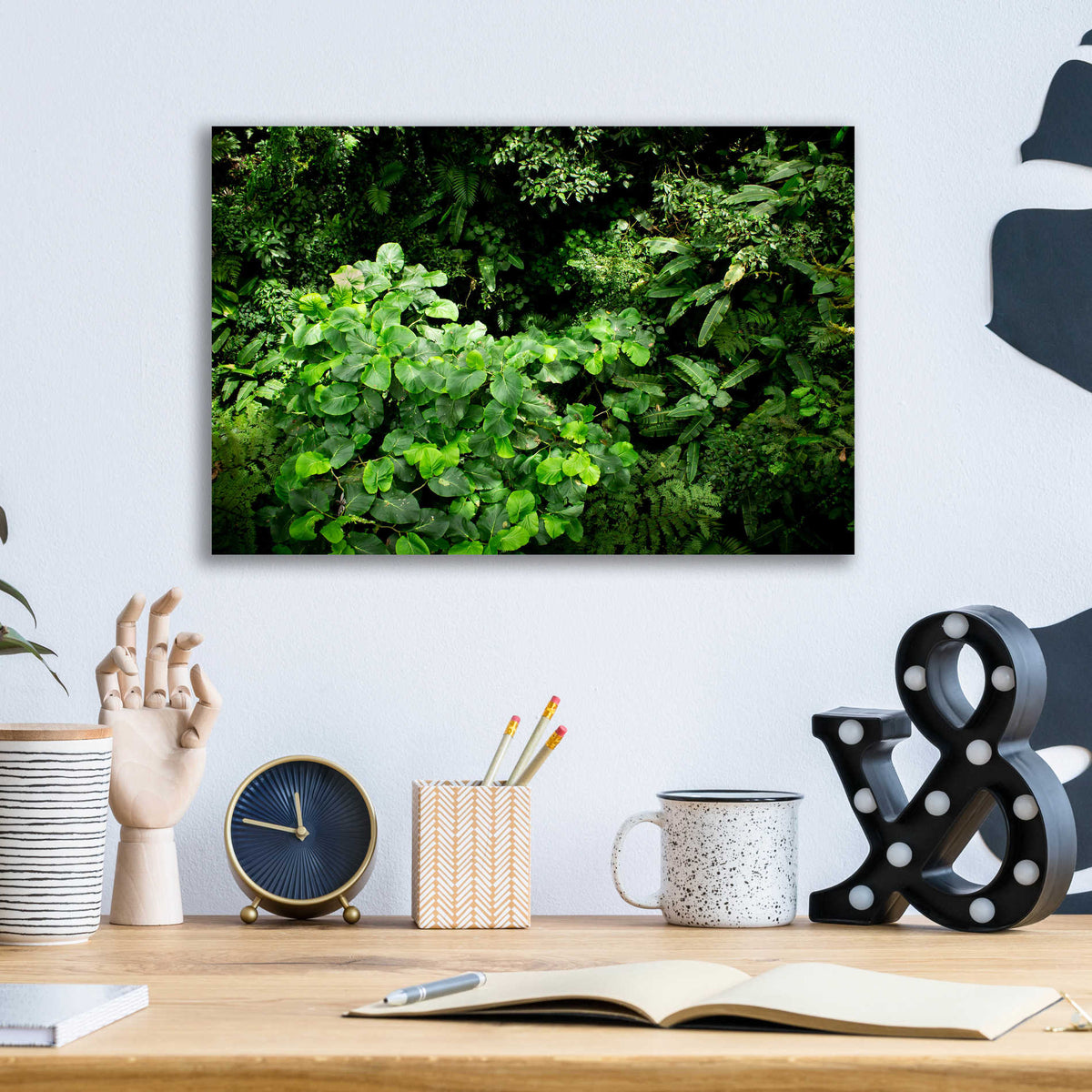 Epic Art 'Rainforest Canopy' by Nicklas Gustafsson Acrylic Glass Wall Art,16x12