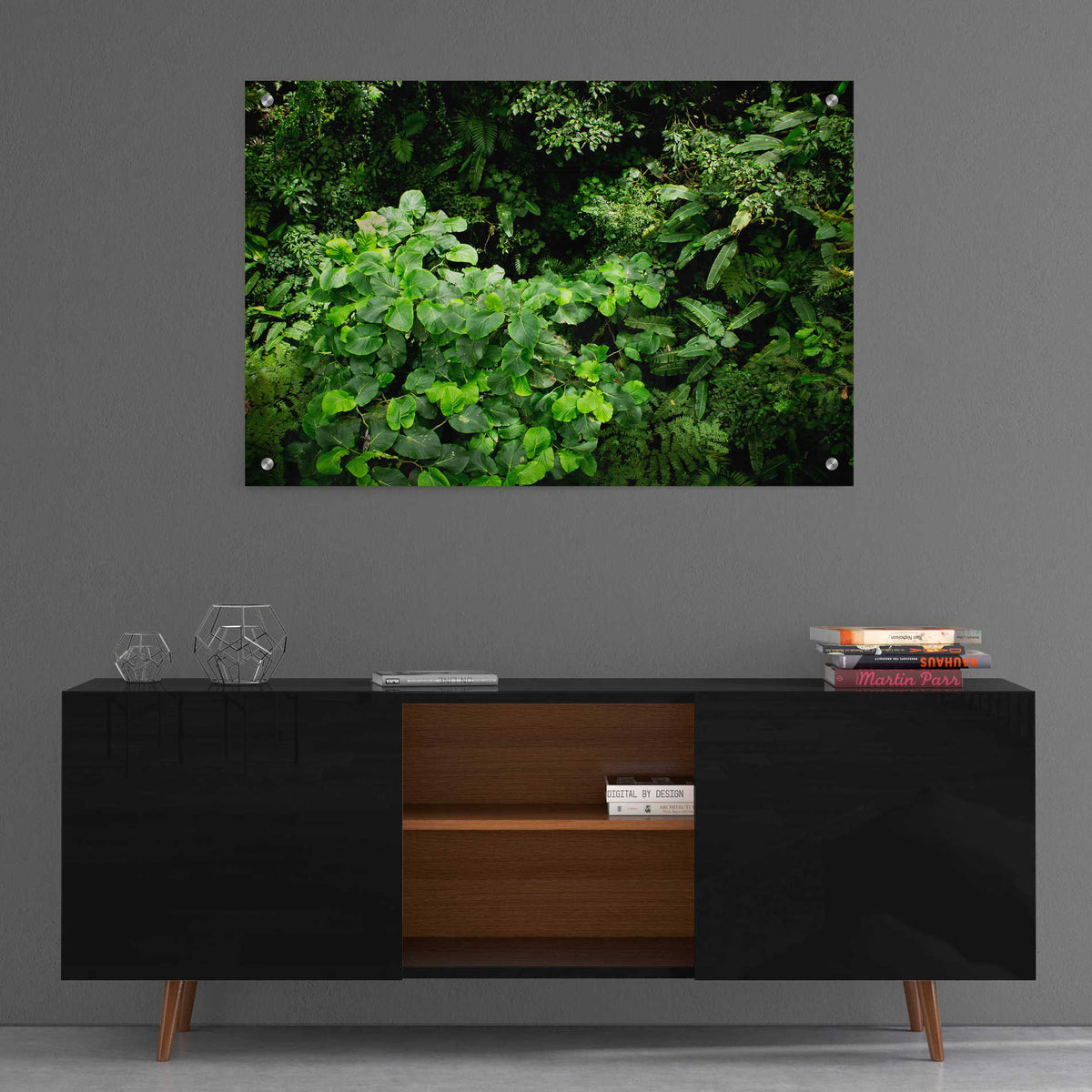 Epic Art 'Rainforest Canopy' by Nicklas Gustafsson Acrylic Glass Wall Art,36x24