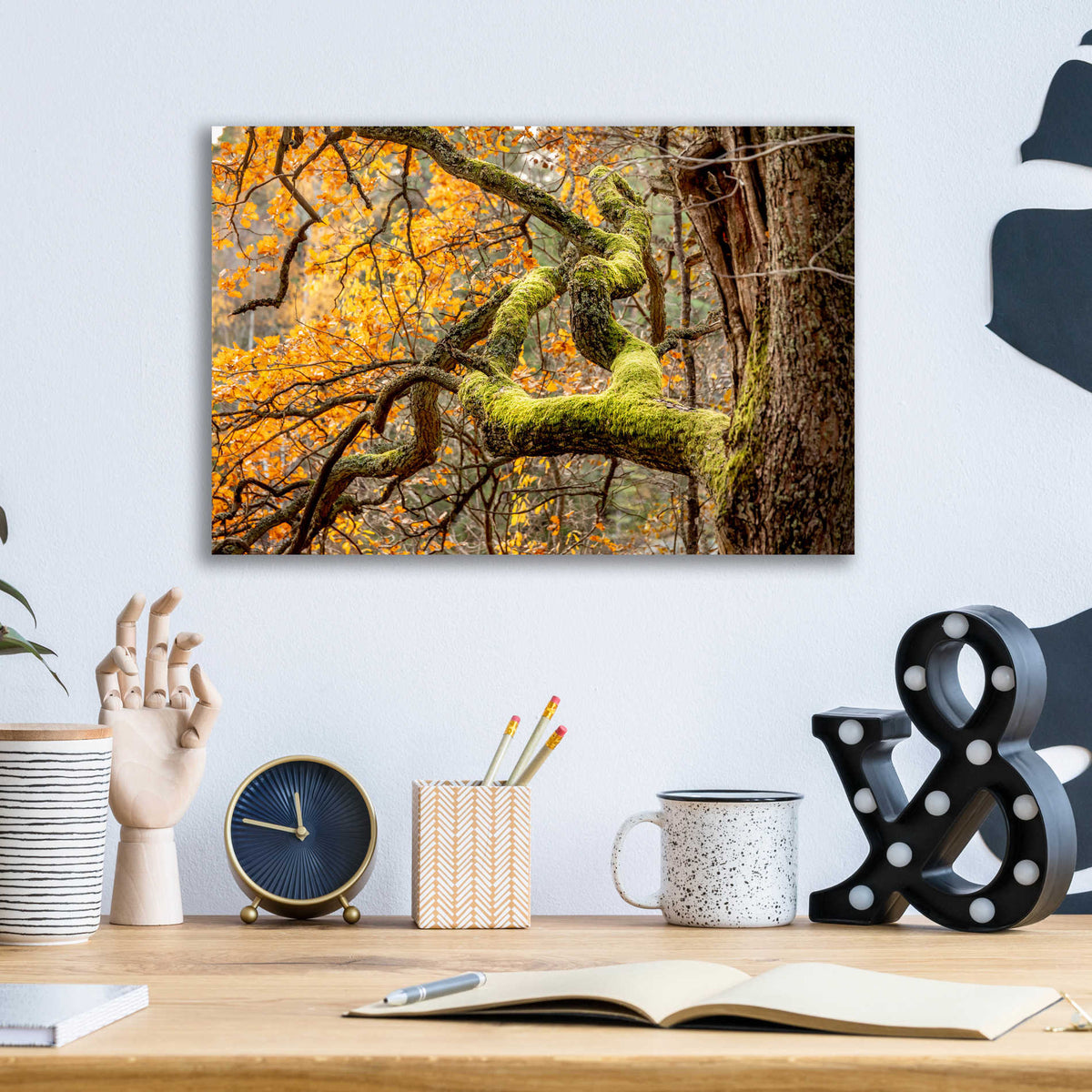 Epic Art 'Reaching Autumn Branch' by Nicklas Gustafsson Acrylic Glass Wall Art,16x12