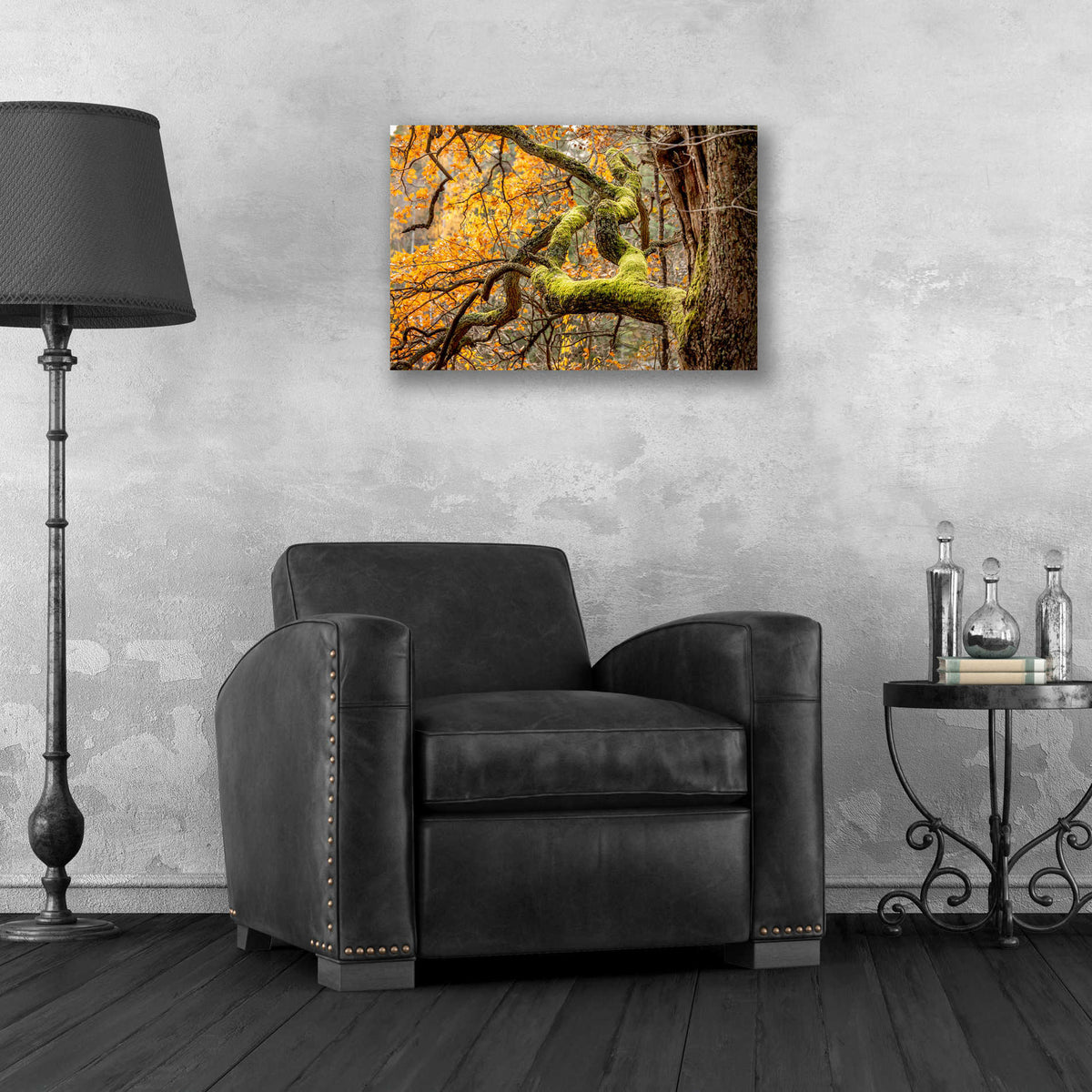 Epic Art 'Reaching Autumn Branch' by Nicklas Gustafsson Acrylic Glass Wall Art,24x16