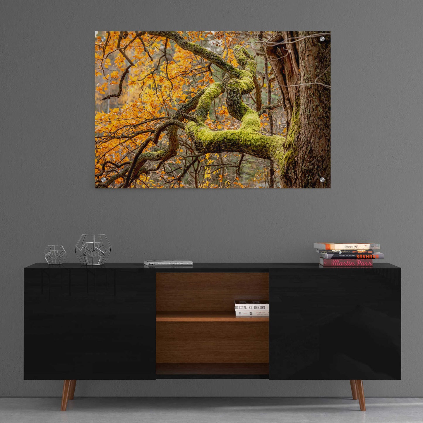 Epic Art 'Reaching Autumn Branch' by Nicklas Gustafsson Acrylic Glass Wall Art,36x24