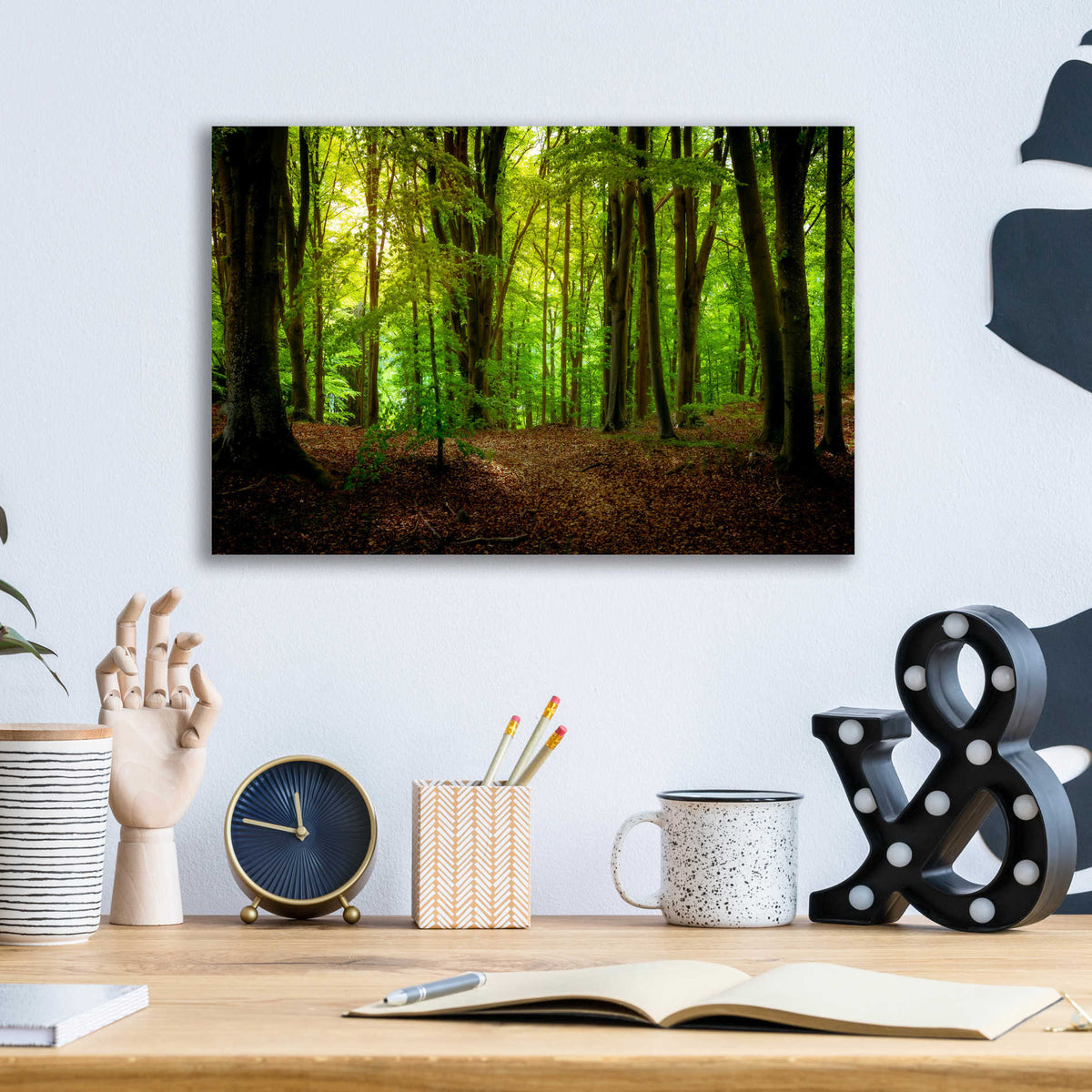 Epic Art 'Summer Forest' by Nicklas Gustafsson Acrylic Glass Wall Art,16x12
