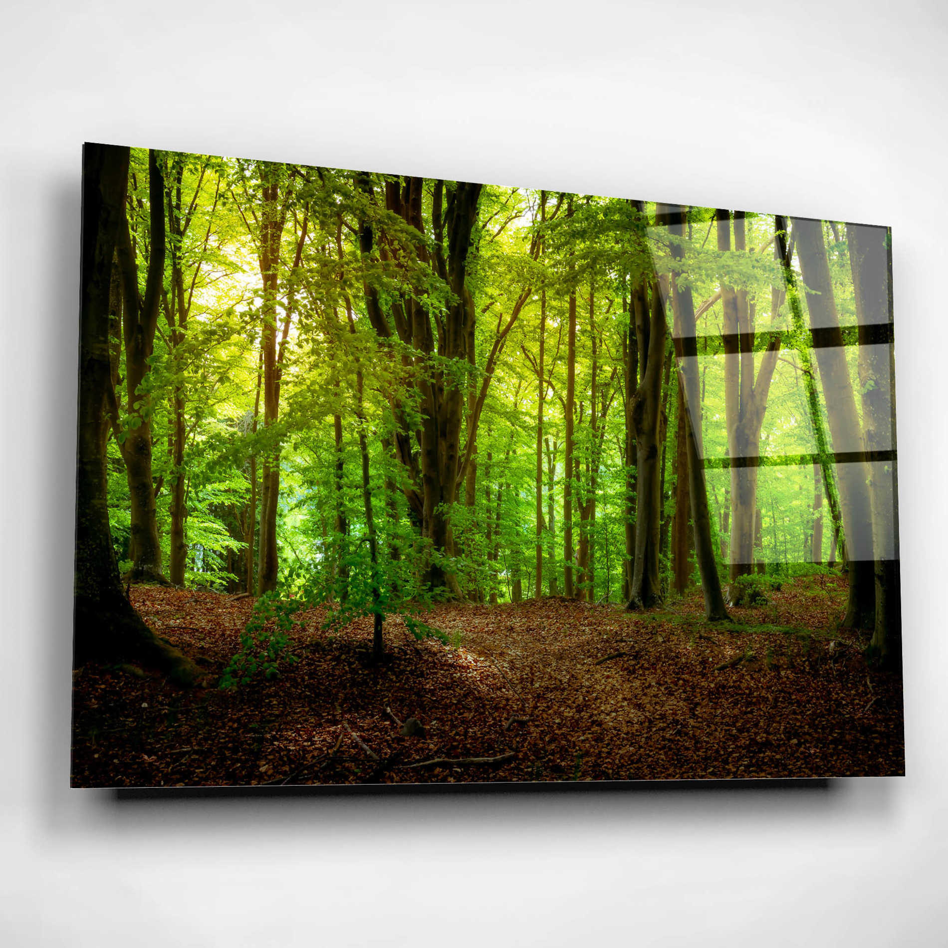 Epic Art 'Summer Forest' by Nicklas Gustafsson Acrylic Glass Wall Art,24x16