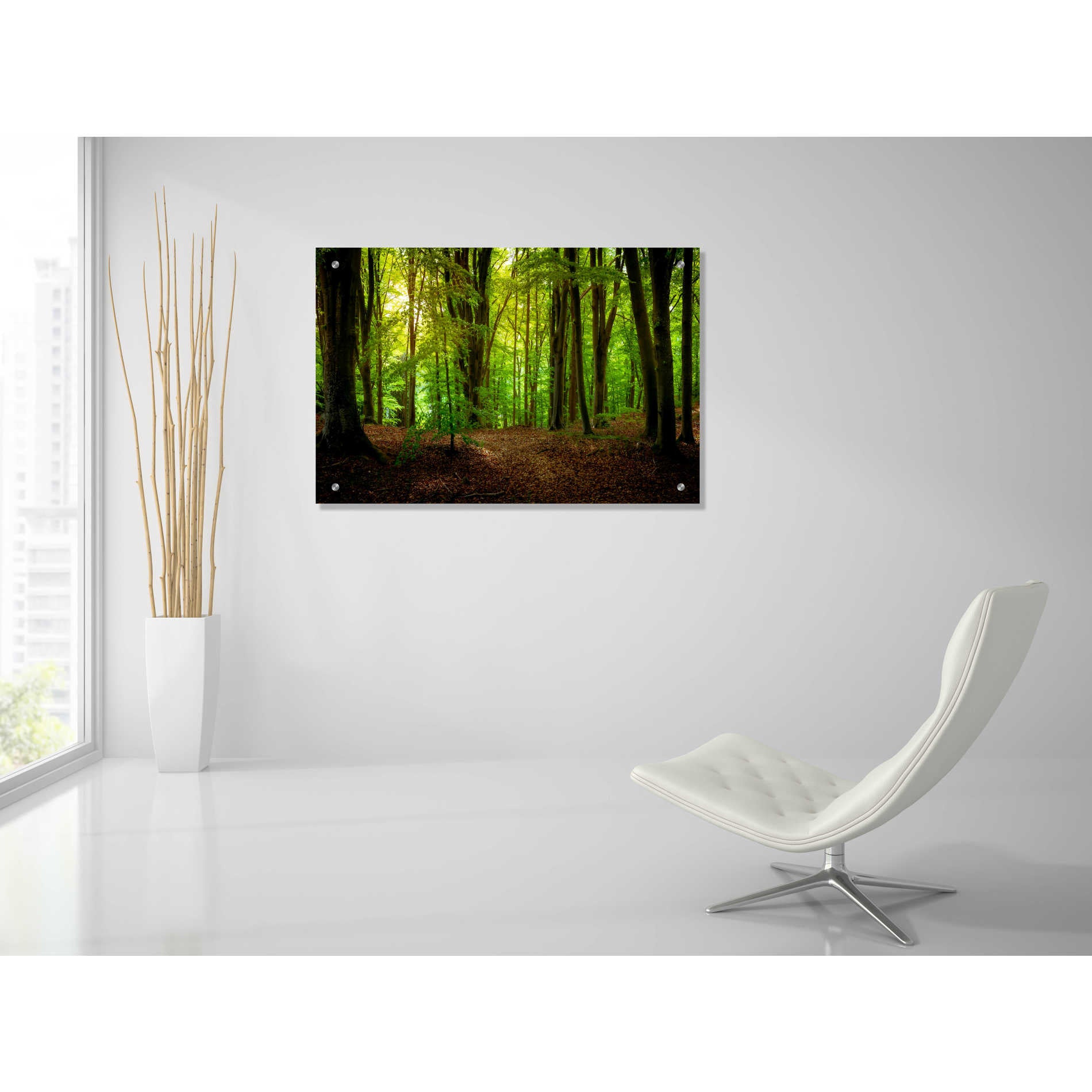 Epic Art 'Summer Forest' by Nicklas Gustafsson Acrylic Glass Wall Art,36x24