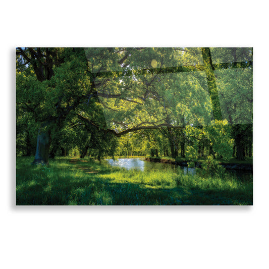 Epic Art 'Summer Morning In The Park' by Nicklas Gustafsson Acrylic Glass Wall Art