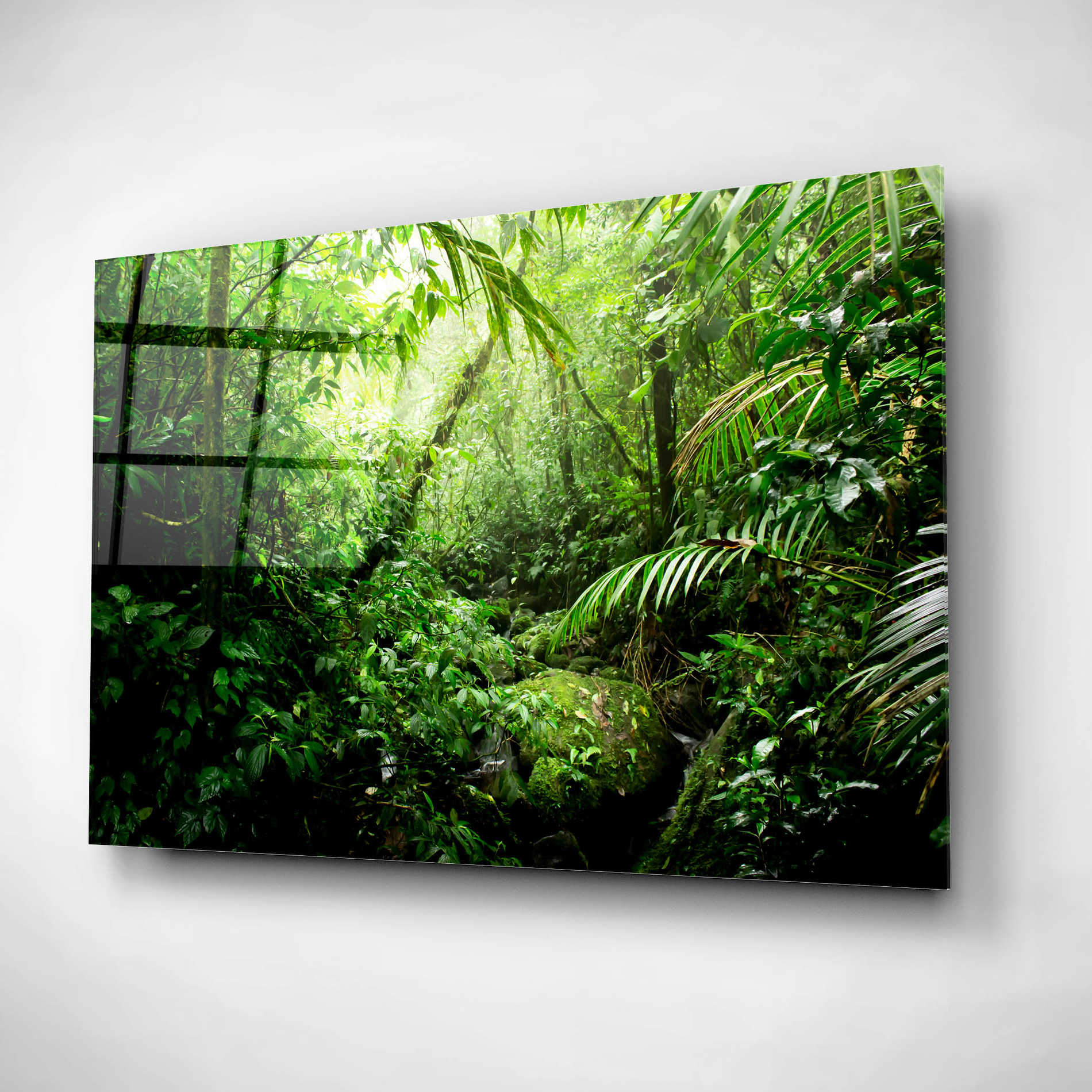 Epic Art 'Warm Glow Rainforest Creek' by Nicklas Gustafsson Acrylic Glass Wall Art,16x12