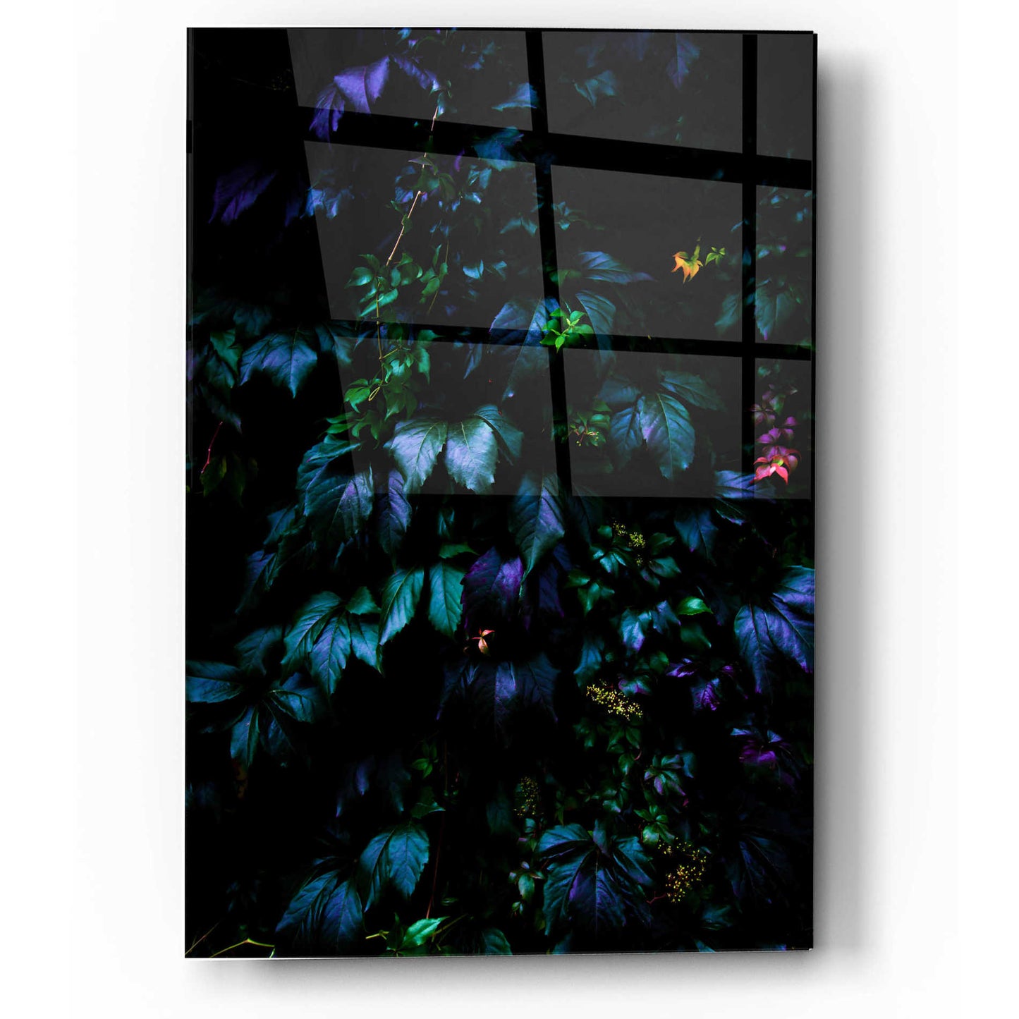 Epic Art 'Welcome To The Jungle' by Nicklas Gustafsson Acrylic Glass Wall Art,12x16