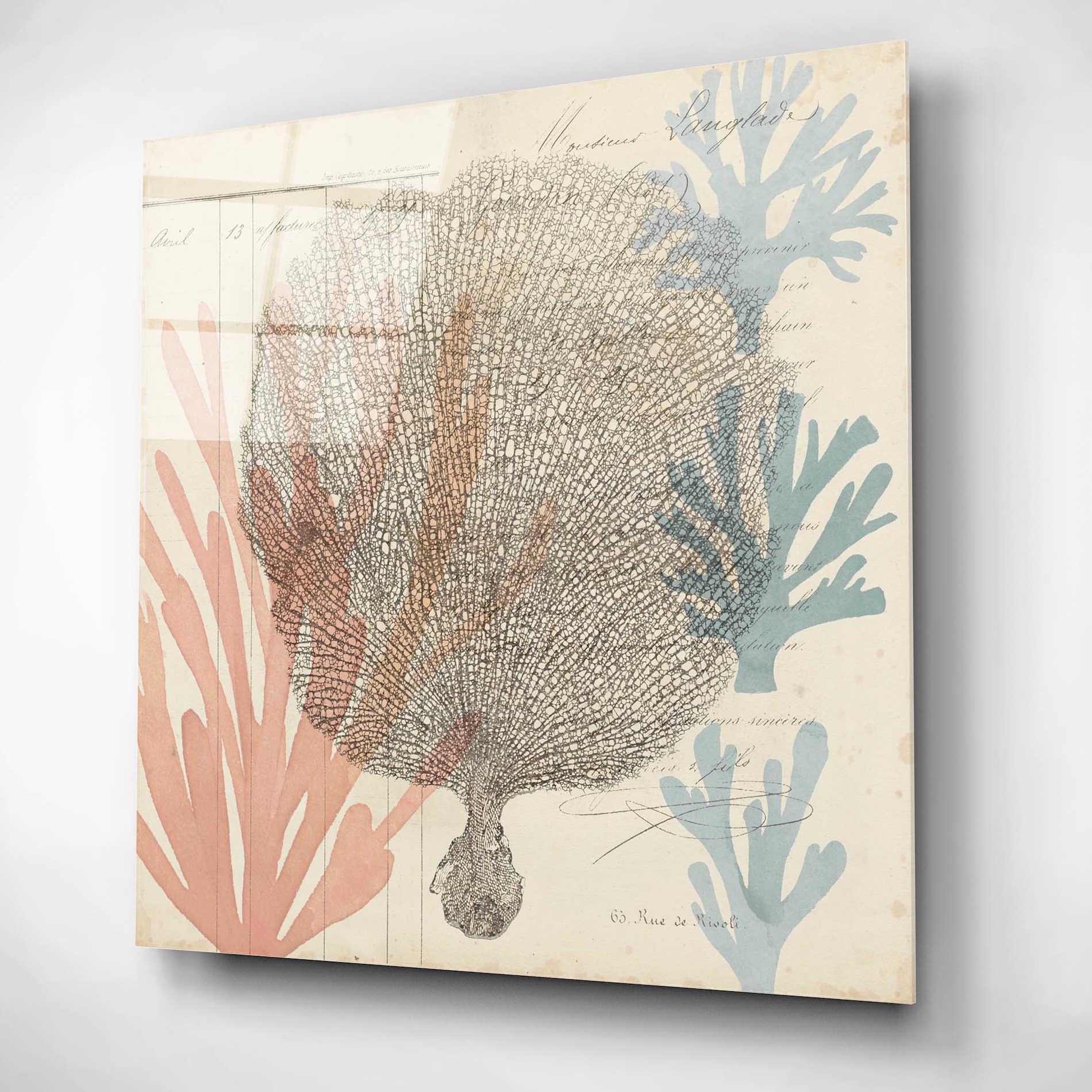 Epic Art 'Sea Ephemera I' by Grace Popp, Acrylic Wall Glass,12x12