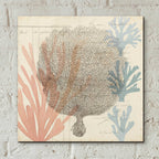 Epic Art 'Sea Ephemera I' by Grace Popp, Acrylic Wall Glass,12x12