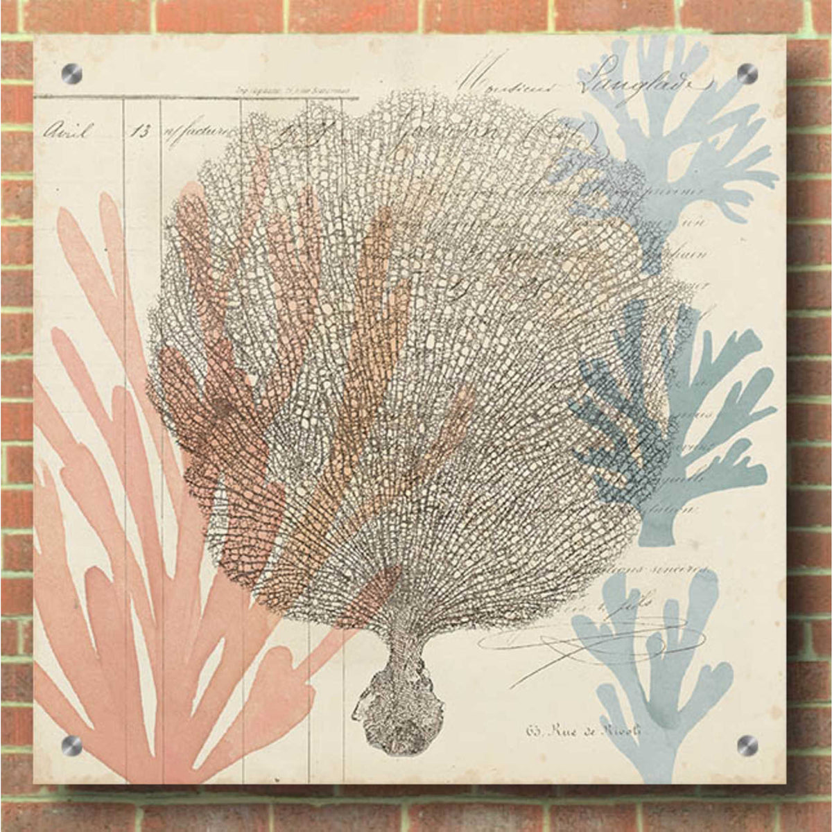 Epic Art 'Sea Ephemera I' by Grace Popp, Acrylic Wall Glass,36x36