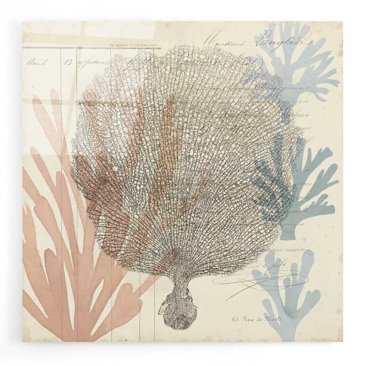 Epic Art 'Sea Ephemera I' by Grace Popp, Acrylic Wall Glass