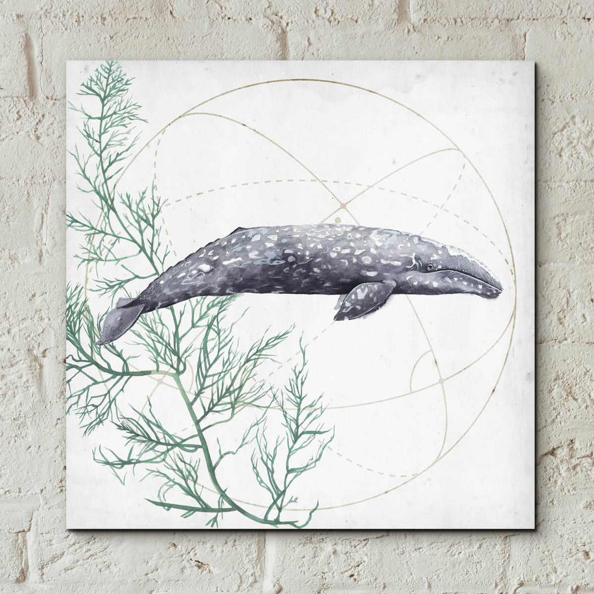 Epic Art 'Love of the Sea III' by Grace Popp, Acrylic Wall Glass,12x12